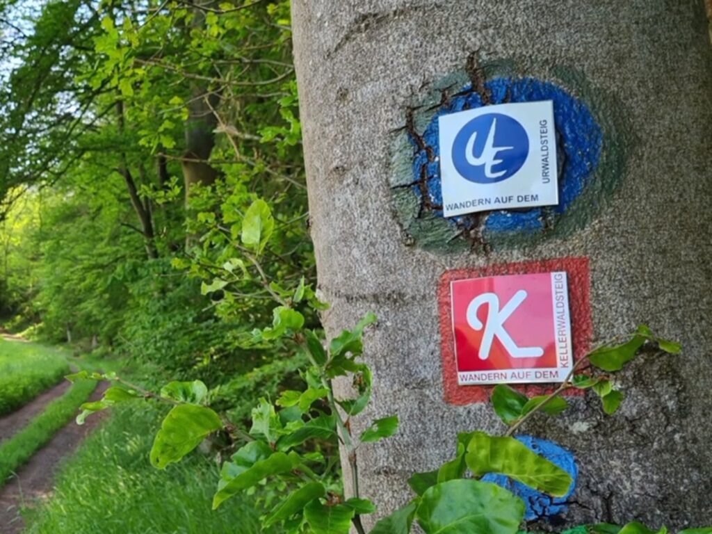 Wanderwegschilder Urwaldsteig und Kellerwaldsteig