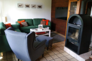 Wohnzimmer 2er und 3er Couch, Ohrensessel und Kamin
